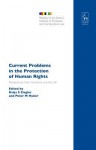 Current Problems in the Protection of Human Rights: Perspectives from Germany and the UK - Ziegler, Katja S Ziegler, Peter Huber