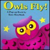 Owls Fly!: A Pop-Up Book - Kees Moerbeek