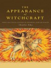 The Appearance of Witchcraft: Images and Social Meaning in 16th Century Europe (Christianity and Society in the Modern World) - Charles Zika