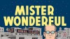 Mister Wonderful: A Love Story - Daniel Clowes