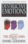 Destructive Emotions - Daniel Goleman