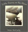 Little Bunny on the Move - Peter McCarty