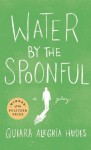 Water by the Spoonful - Quiara Alegría Hudes