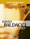 Der Abgrund - Ulrich Pleitgen, David Baldacci