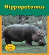 Hippopotamus - Patricia Whitehouse