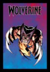 Wolverine (The Ultimate Graphic Novels Collection: Publication Order, #9) - Chris Claremont, Frank Miller