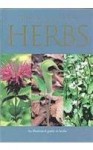 A Pocket Guide to Herbs - Jenny Linford