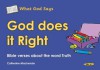 God Does It Right: Bible Verses about the Word Truth - Catherine MacKenzie