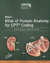 Netter's Atlas of Human Anatomy for CPT Coding - American Medical Association