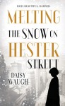 Melting the Snow on Hester Street - Daisy Waugh