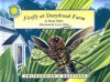 Firefly at Stonybrook Farm - Wendy Pfeffer, Larry Mikec