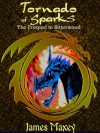 Tornado of Sparks (Bitterwood Trilogy) - James Maxey