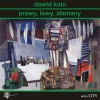 Prawy, lewy, złamany - Dawid Kain