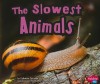 The Slowest Animals - Catherine Ipcizade, Gail Saunders-Smith, Tanya Dewey