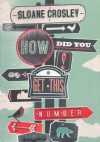 How Did You Get This Number - Sloane Crosley