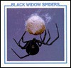 Black Widow Spiders - Louise Martin