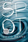 The Spot: Stories - David Means