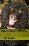 Illumination: Life Lessons from Our Animal Companions - Lisa Shaw