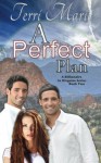 A Perfect Plan: A Billionaire in Disguise, Book 2 - Terri Marie