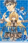 Black Cat, Volume 18 - Kentaro Yabuki