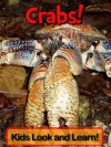 Crabs! Learn About Crabs and Enjoy Colorful Pictures - Look and Learn! (50+ Photos of Crabs) - Becky Wolff