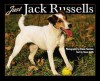 Just Jack Russells - Dusan Smetana