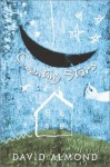 Counting Stars - David Almond