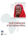 Youth Employment in Sub-Saharan Africa - Deon Filmer, Louise Fox