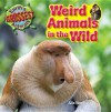 Weird Animals in the Wild - Alix Wood