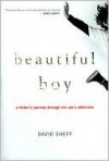 Beautiful Boy - David Sheff