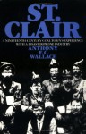 St. Clair: A Nineteenth-Century Coal Town's Experience with a Disaster-Prone Industry - Anthony F. C. Wallace