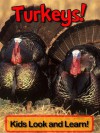 Turkeys! Learn About Turkeys and Enjoy Colorful Pictures - Look and Learn! (50+ Photos of Turkeys) - Becky Wolff