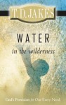 Water in the Wilderness: God's Provision for our Every Need - T.D. Jakes