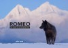 Romeo: The Story of an Alaskan Wolf - John Hyde