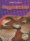 Copperheads - Colleen Sexton