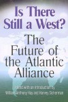 Is There Still a West? The Future of the Atlantic Alliance - William Anthony Hay, William Anthony Hay