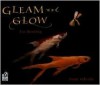 Gleam and Glow (Turtleback) - Eve Bunting, Peter Sylvada