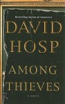 Among Thieves - David Hosp