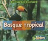 Bosque Tropical = Rain Forest - Cassie Mayer