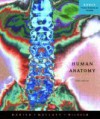 Human Anatomy [With A Brief Atlas of the Human Body] - Elaine Nicpon Marieb