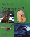 What Is a Mammal? (Animal Kingdom) - Lola M. Schaefer