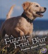 A Fuzzy-Fast Blur: Poems about Pets - Laura Purdie Salas