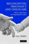 Reconceiving Pregnancy and Childcare: Ethics, Experience, and Reproductive Labor - Amy Mullin