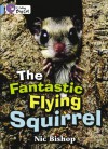 The Fantastic Flying Squirrel: Band 04/Blue (Collins Big Cat) - Nic Bishop