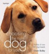 Choosing the Right Dog for You (Hamlyn Reference S.) - Gwen Bailey