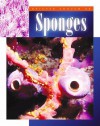 Sponges - Mary Logue