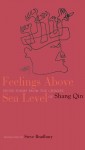 Feelings Above Sea Level: Prose Poems from the Chinese of Shang Qin - Shang Qin, Steve Bradbury