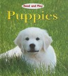 Puppies - Jim Pipe