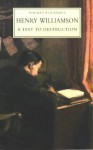 A Test To Destruction - Henry Williamson