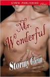 Mr. Wonderful - Stormy Glenn